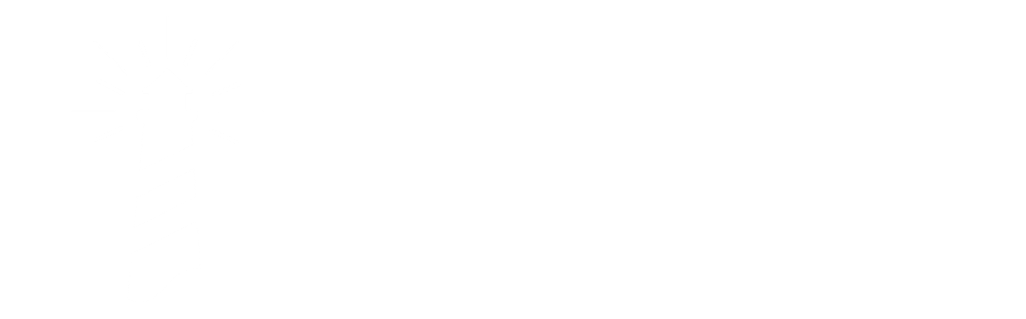 Learnforth University